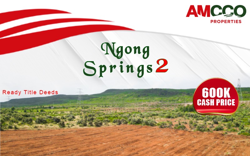 Ngong plots for sale